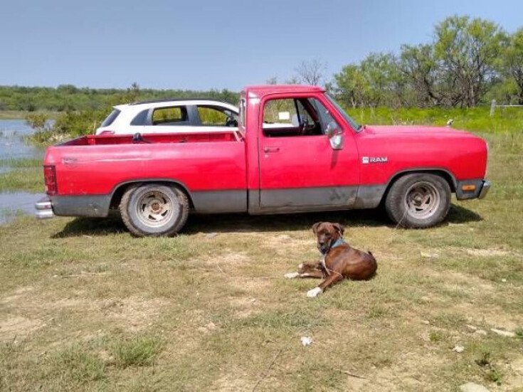 Thumbnail Photo undefined for 1982 Dodge D/W Truck